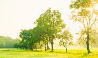 关于写景的资料 有关写景的资料