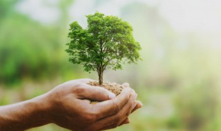 关于污染的资料 有关污染的简介