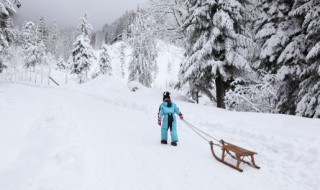 关于南极洲的资料 关于南极洲的介绍