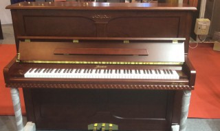 关于钢琴的资料 钢琴资料相关介绍