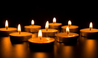 关于蜡烛的资料 蜡烛的简介