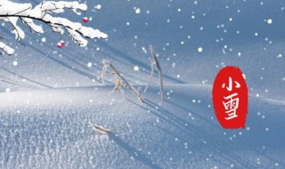 关于小雪的资料 小雪节气的资料介绍