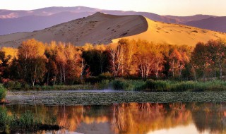 关于新疆资料 新疆资料分享