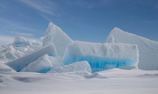 关于北极的资料 北极详细介绍