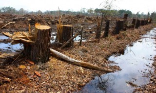 关于地球被破坏的资料 关于地球被破坏的内容