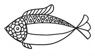 关于小鱼的资料 关于小鱼的资料简介