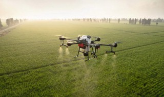 关于农业的资料 农业的资料介绍