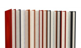 关于法治的资料 关于法治的资料介绍