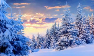 关于雪的资料 雪的资料分享