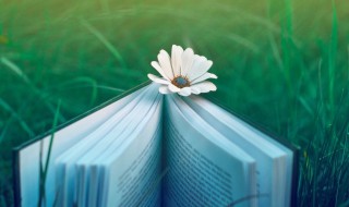 关于善的资料 关于善的资料介绍