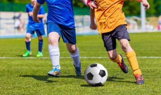 关于足球资料 足球的资料