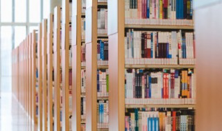 关于人的资料 关于人的介绍