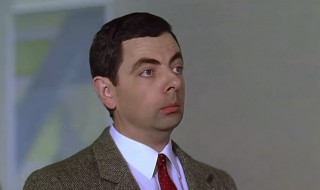 关于憨豆的资料 憨豆的介绍