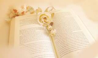 关于神州五号的资料 关于神州五号的资料介绍