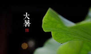 小满芒种夏至立夏大暑怎么排列 二十四节气介绍