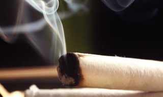 小暑节气适合怎么灸 小暑节气适合如何灸