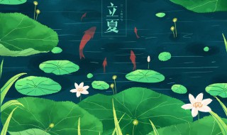 初伏日子怎么算的 初伏日子怎样算的