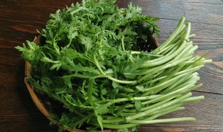 大暑天怎么种青菜 大暑天如何种青菜