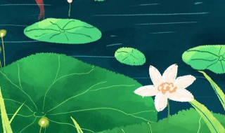 初伏天是怎么认定的 初伏天是如何认定的