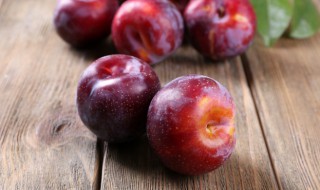 李子怎样储存 李子的储存方法