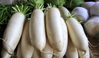 怎样储存白萝卜 如何储存白萝卜