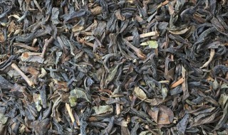 青茶怎样储存 青茶长期保存方法分享