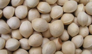 怎样储存白果 储存白果的方法