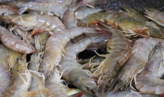 明虾怎样储存 明虾储存方法
