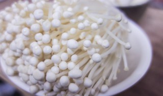 凉拌金针菇的料怎么调 凉拌金针菇的料如何调