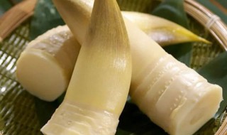 春笋剥皮后保存方法 春笋剥皮后保存方法是什么