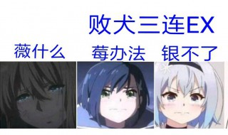 败犬是什么意思 什么是败犬