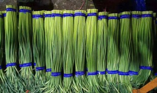 蒜苔怎样在冰箱储存 蒜苔如何在冰箱储存