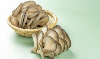 如何制作好吃的孜然平菇 怎么做孜然平菇