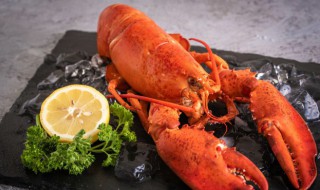 蒜蓉粉丝蒸龙虾的做法 怎么做蒜蓉粉丝蒸龙虾