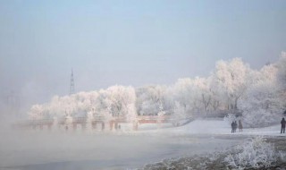 琼林玉树意思 琼林玉树出自何处