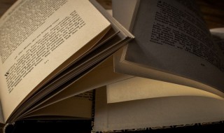 hens是什么意思 hens解释