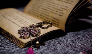 韩孟诗派指的是哪两位诗人 韩孟诗派的简介