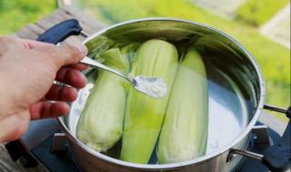 煮玉米放小苏打的作用 煮玉米放小苏打有什么作用