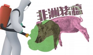 非洲猪瘟怎么来的中国 非洲猪瘟是怎样的疾病