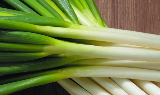 葱白是葱的什么部位 葱白有何药用价值