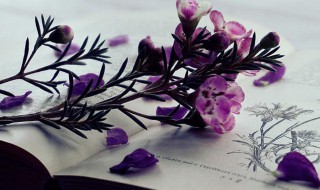 什么是一带一路呢 一带一路解释