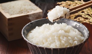 夏天米饭放一夜还能吃吗 夏天米饭放一夜还能不能吃