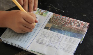 叛逆是什么意思 叛逆词语出处介绍