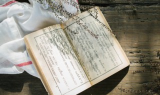 藏头诗什么意思 藏头诗的简介