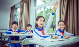 夜莺的故事告诉我们什么道理 夜莺的故事告诉我们的道理简单介绍