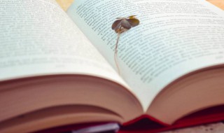 包吃包住什么意思 包吃包住解释