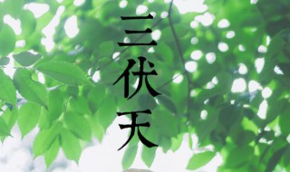 初伏怎么定 初伏如何确定的