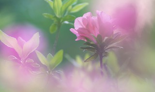 暮春的意思 暮春是什么季节