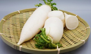 怎样储存大萝 大萝卜存放技巧