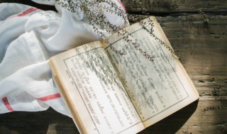 目不忍视的意思是 目不忍视解释及出处